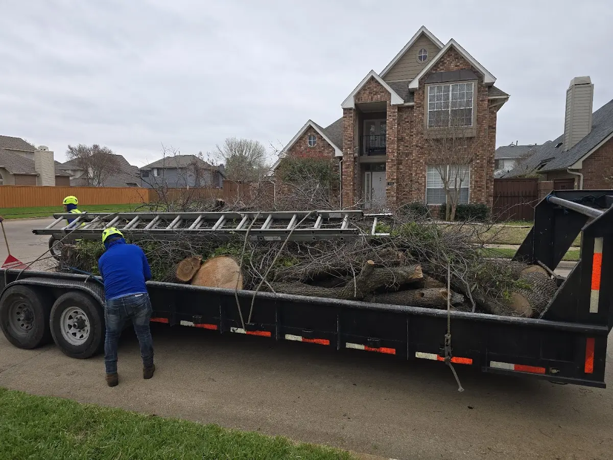 Expert Tree Fertilization with proper safety equipment in Deer Trail